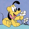 Baby Pluto