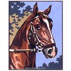 Cheval Marron