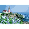 Bord de mer