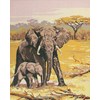 Elephants