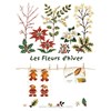 Mémo fleurs d'hiver
