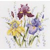 Les iris en broderie traditionnelle