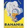 Banania Eléphant