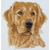 Les chiens