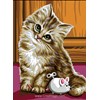 Chaton