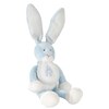Doudou lapin Ciel