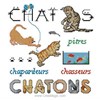 Chatons Coquins