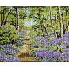 Bluebell Wood