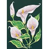 Arums