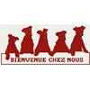 Bienvenue chiens