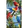 Caraïbes