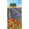 Lavande et coquelicots