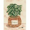 DIAGRAMME - PLANTES AROMATIQUES Thym, Basilic
