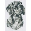 West Highland Terrier  / King Charles Spaniel / Dachsund