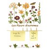 Mémo fleurs d'automne