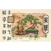 bonsai and buddha