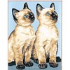 Chat