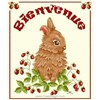 BIENVENUE LAPIN