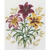 Les lys en broderie traditionnelle