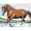Cheval fougueux