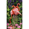 Les Flamands