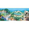 Douce provence