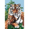 Le bébé Tigre