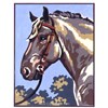 Cheval Gris