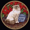 Le chat Birman