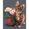 Chaton et rose