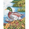 Mallard