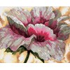 ANEMONE