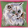 Chat