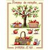 POMME DE REINETTE