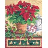 La poinsettia