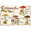Amanites