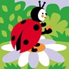 La coccinelle