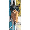 Cheval brun