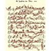 SYMPHONIE DES CHATS