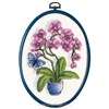 Les Orchidées