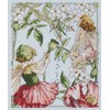 Les fées jasmin et pavots