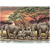African Sunset