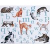 Les chat