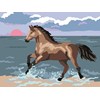 Cheval au galop dans la mer
