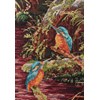 Kingfishers (Toni Hargreaves)