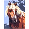 Cheval sauvage