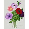 LES ANEMONES