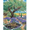 La cueillette des olives