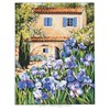 Le mas aux iris