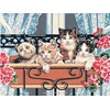 Chatons au balcon